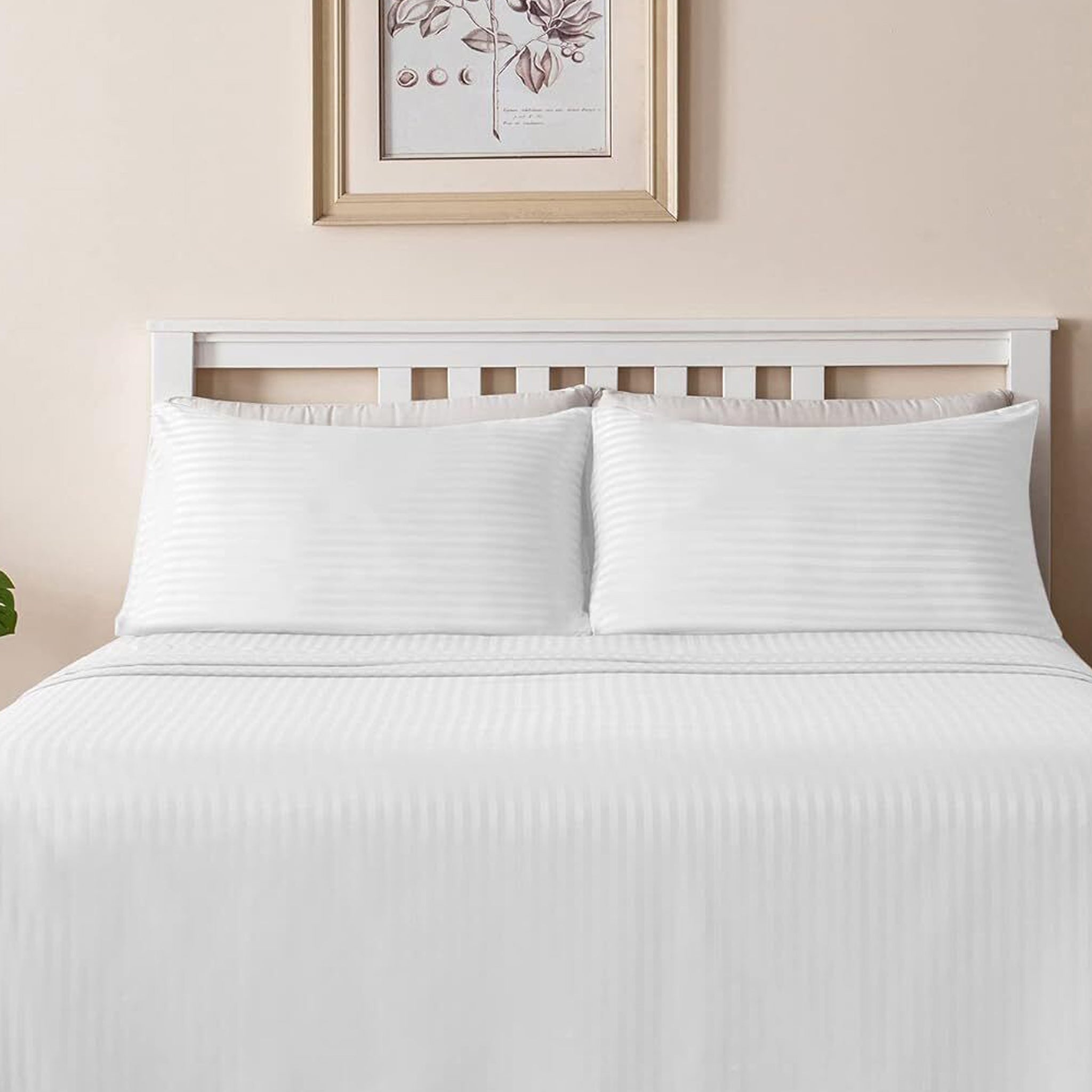 Cotton BedSheet BS 107